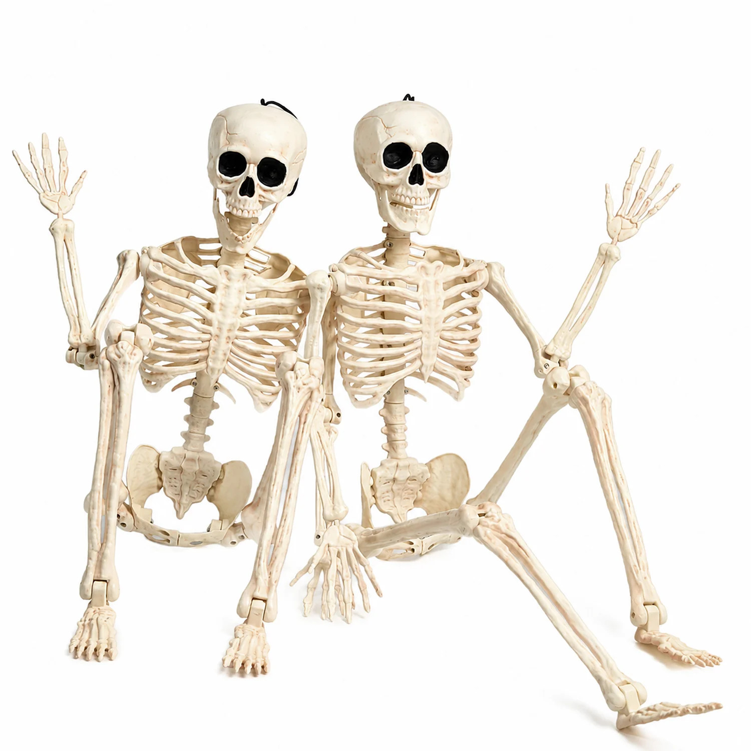 2PCS 36" Halloween Skeleton Decor | Wayfair North America