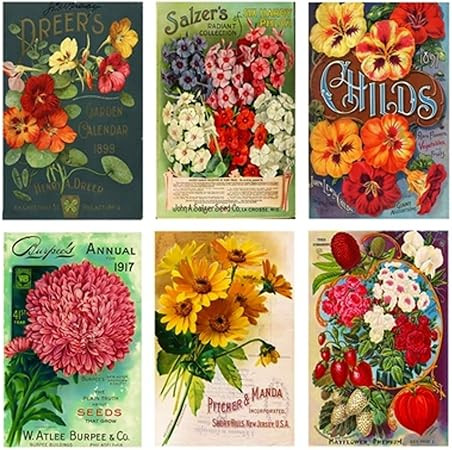 Decorative Mini Vintage Seeds Matchbox Set of 6 Matches for Candle and Fireplace Wood Matches | Amazon (US)