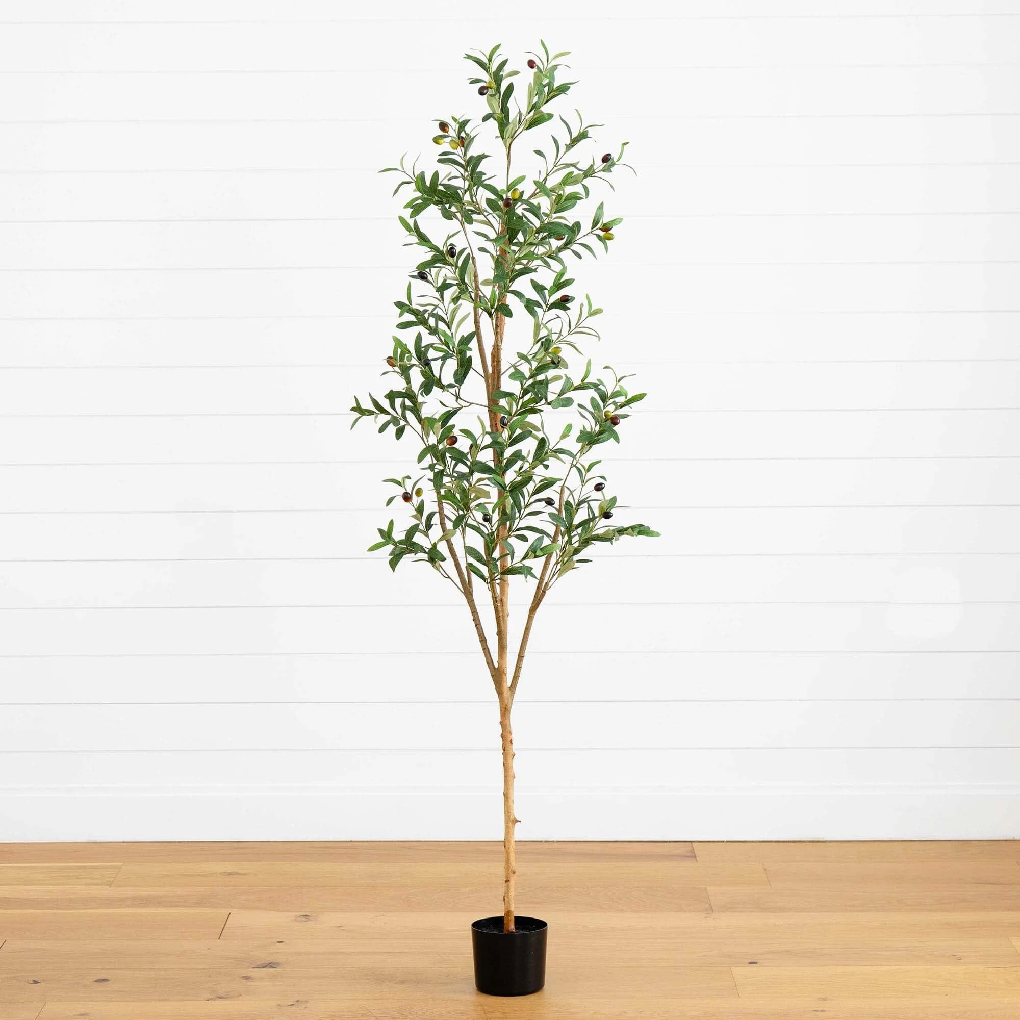 6’ Artificial Olive Tree with Natural Trunk | Nearly Natural | Nearly Natural