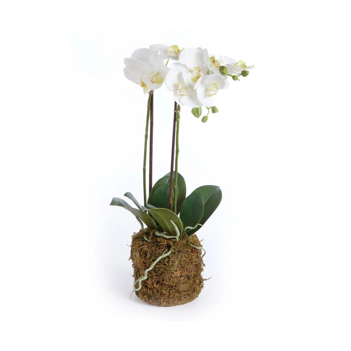 Evan Faux Orchid Drop-in | Wayfair North America