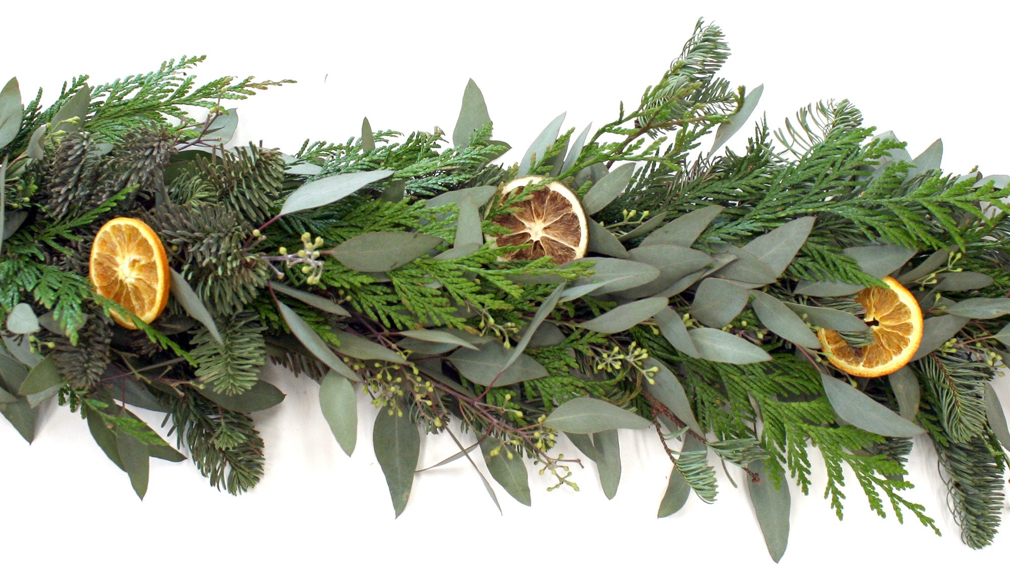 Orange & Lemon Slices Garland, Live | One Kings Lane