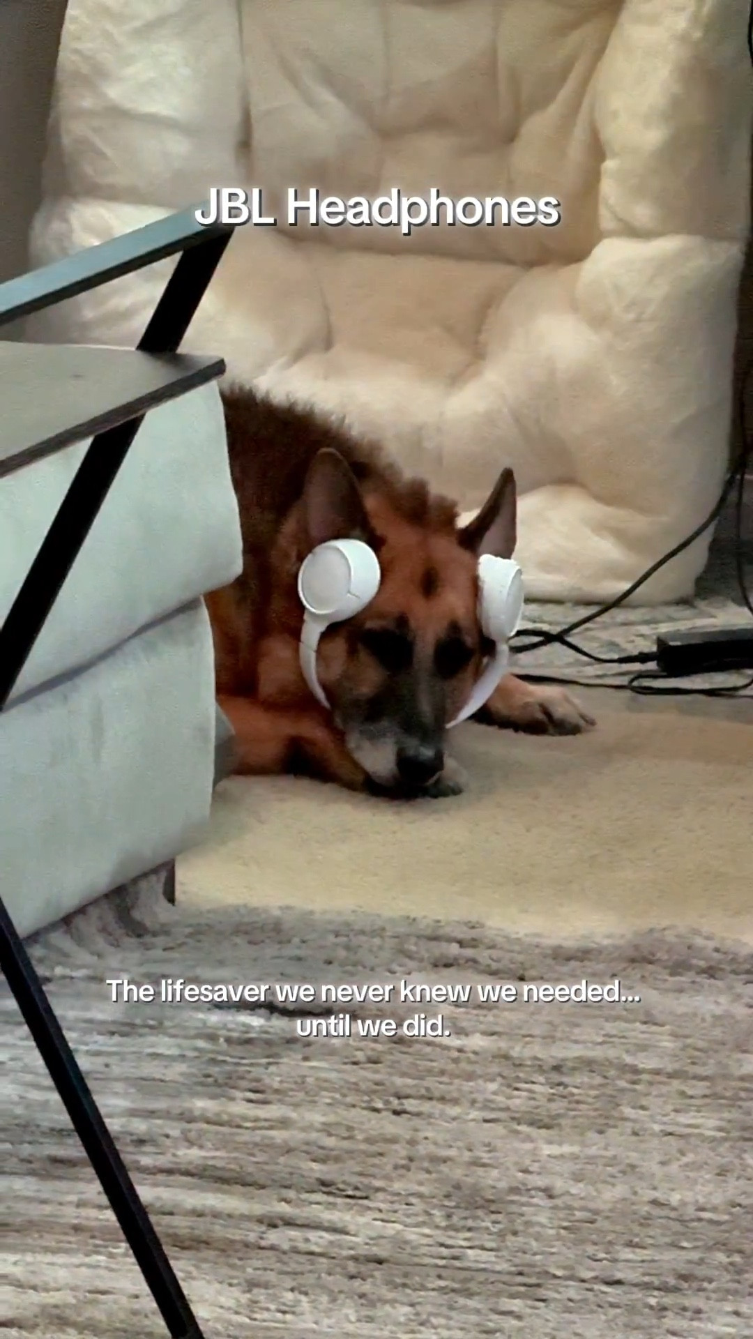 The lifesaver we didn’t know we needed… until we did. JBL helps this big baby calm down when the fire alarms go off for no reason. It’s the perfect fit for my big baby. Thanks JBL! 

#LTKSaleAlert #LTKstorytime #LTKdayinmylife