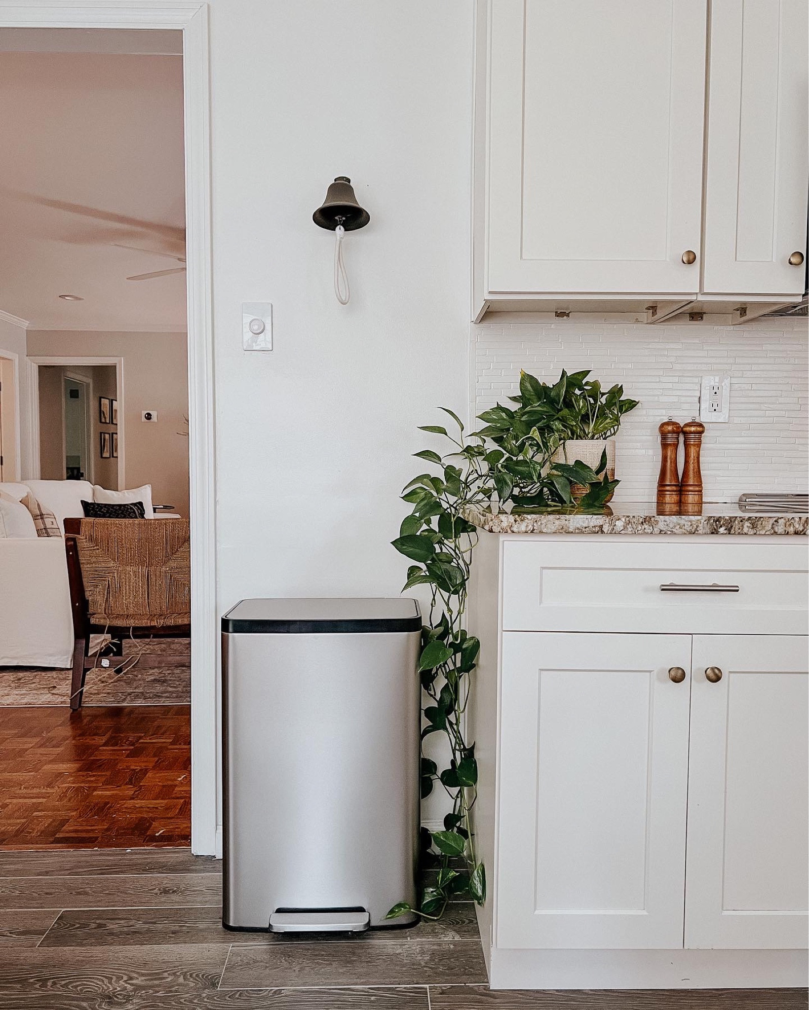 When a trash can is as beautiful as this @kohler stainless steel trash can, it deserves a post on the feed. My mom and I found this trash can for a deal at 25% off at @costco yesterday. I’m so glad we upgraded. 🗑

#LTKunder100 #LTKhome #LTKunder50