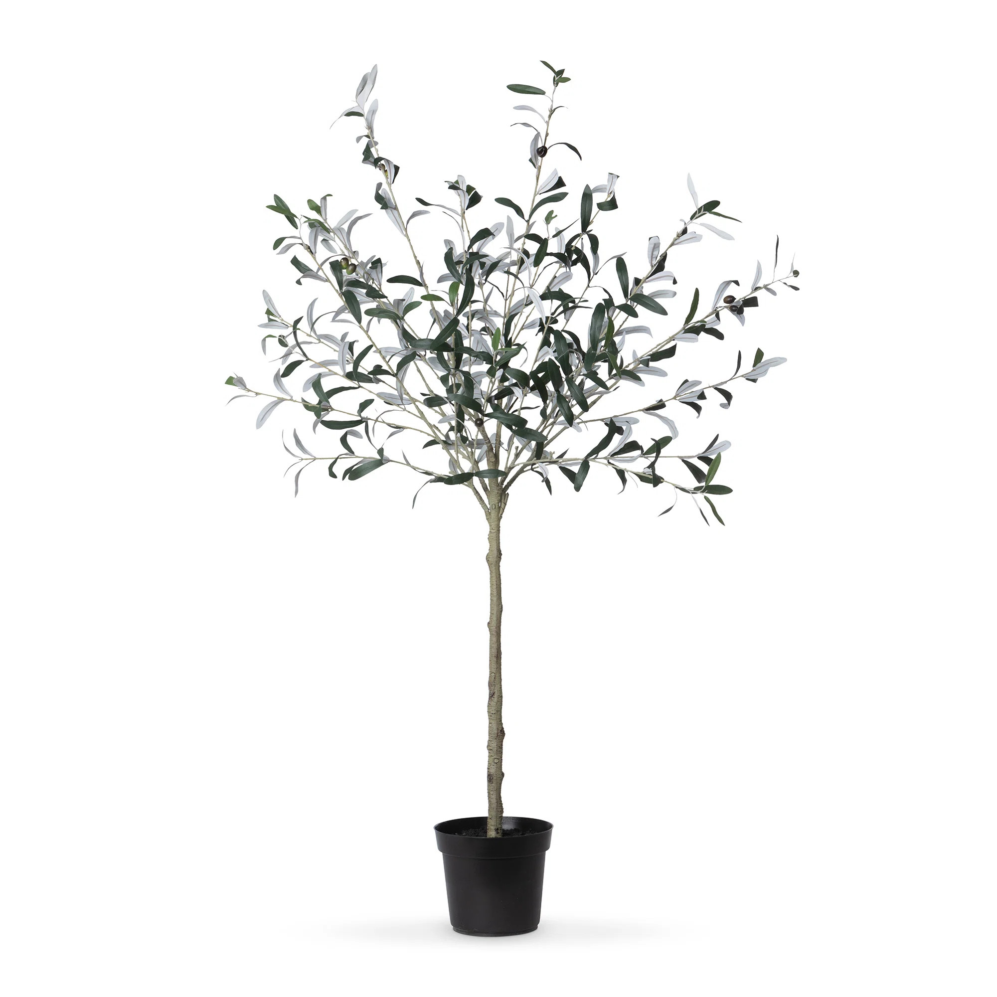 Faux Olive Tree Tree in Pot | Perigold