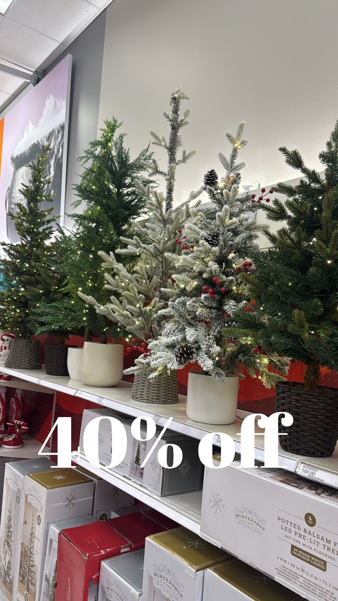 Potted Christmas trees 40% off 

Target, Christmas, deal

#LTKHoliday #LTKSaleAlert