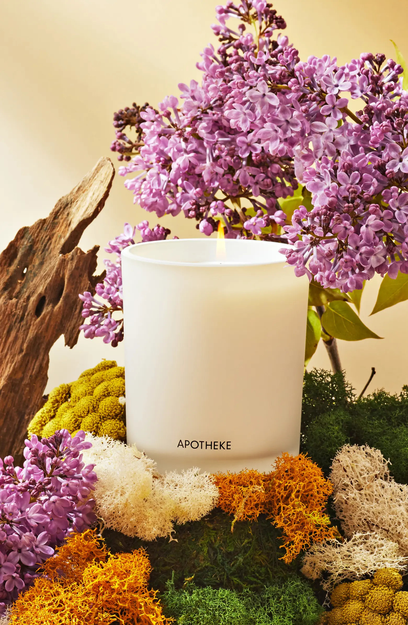 White Vetiver Classic Scented Candle | Nordstrom