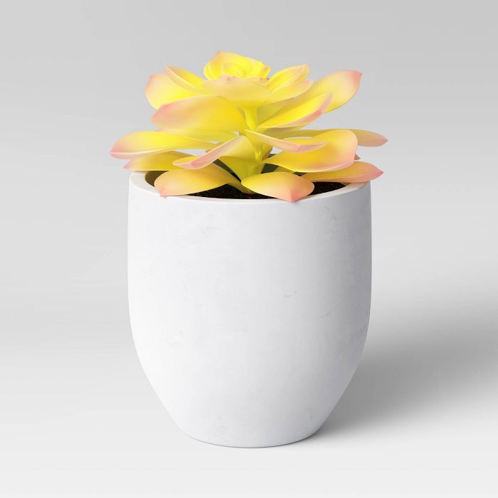 Small Succulent in Pot Yellow - Project 62™ | Target