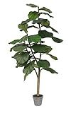Vickerman Everyday Faux Fiddle Leaf Fig Tree 4ft Tall Green Silk Artificial Indoor Fiddle Plant With | Amazon (US)