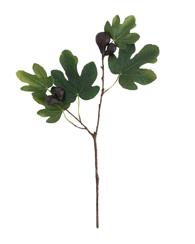 Faux Fig Berry Stem
        
        











      
      
        
          
          
   ... | McGee & Co.