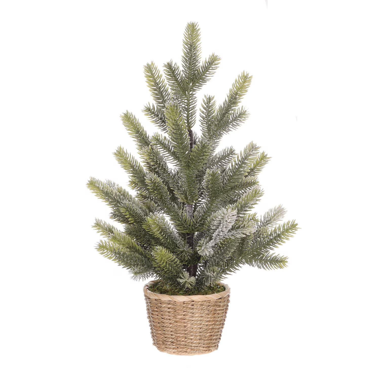 HOLIDAY TIME 20IN GREEN POTTED TREE, POTTED TREE | Walmart (CA)
