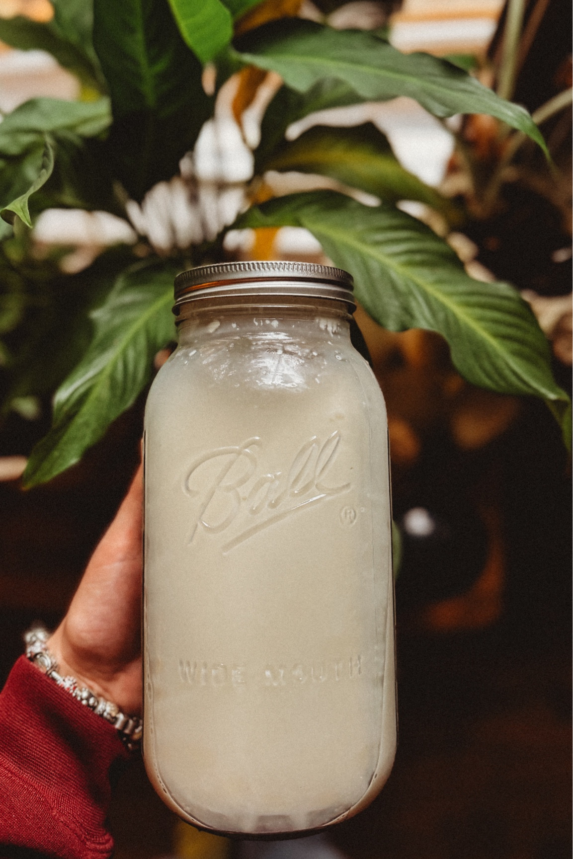 I love a good half gallon mason jar for food storage. This is how we save our raw milk every single week but it’s also an amazing lemonade container for hot summer days, or for preserving dried foods in with an oxygen pack  

#LTKHome #LTKFamily #LTKFindsUnder50