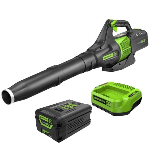 Greenworks 60V 450 CFM Cordless Leaf Blower, 2.0 Ah Battery and Rapid Charger | Amazon (US)