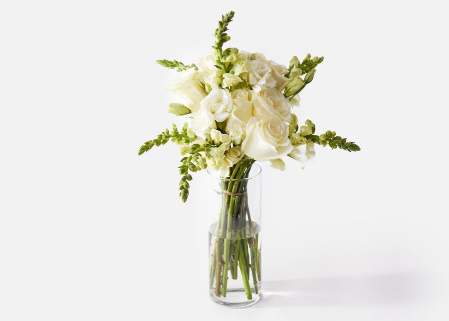 The Buttercream | UrbanStems