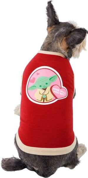 STAR WARS YODA "Mine Will You Be" Dog & Cat T- Shirt, Medium - Chewy.com | Chewy.com