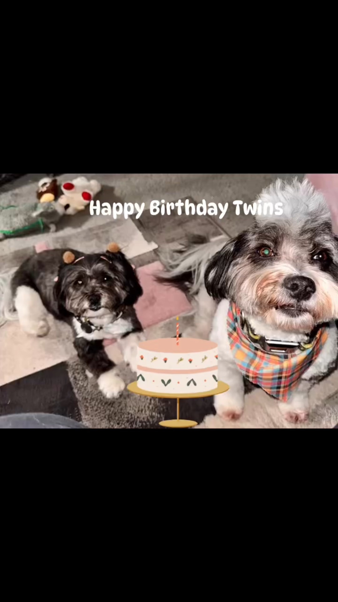 So cute🤩🤩🤩. Happy Birthday twins!!!

Music: Snooze
Artist: SZA

#LTKdayinmylife