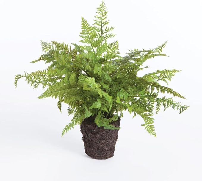 Napa CC 10.5" Soft Fern Drop-in, 13x13x10.5 Inches | Amazon (US)