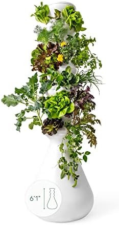 Lettuce Grow Farmstand 36-Plant Hydroponic Growing System Kit | Outdoor Indoor Vertical Garden | ... | Amazon (US)