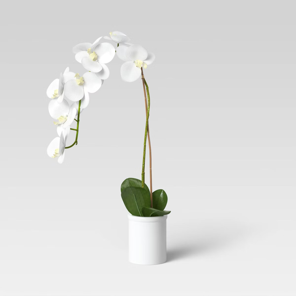 Small Potted Orchid - Threshold™ | Target