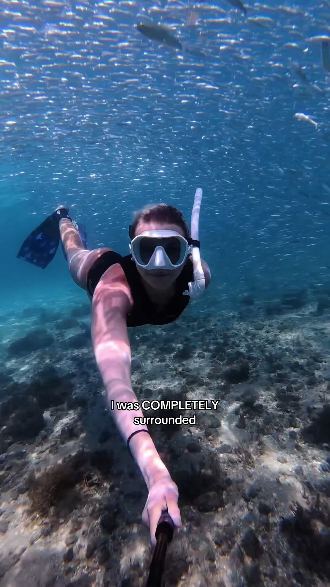 Wait til the end for the most magical surprise!🥹🫶

Such an incredible dive wearing all @cressi1946 gear 🤿

Every interaction I have underwater is always on the animals’ terms. Always make sure to respect marine life 💙🌊

#marinelife #florida #freediving #ocean #diving

#LTKTravel #LTKSwim