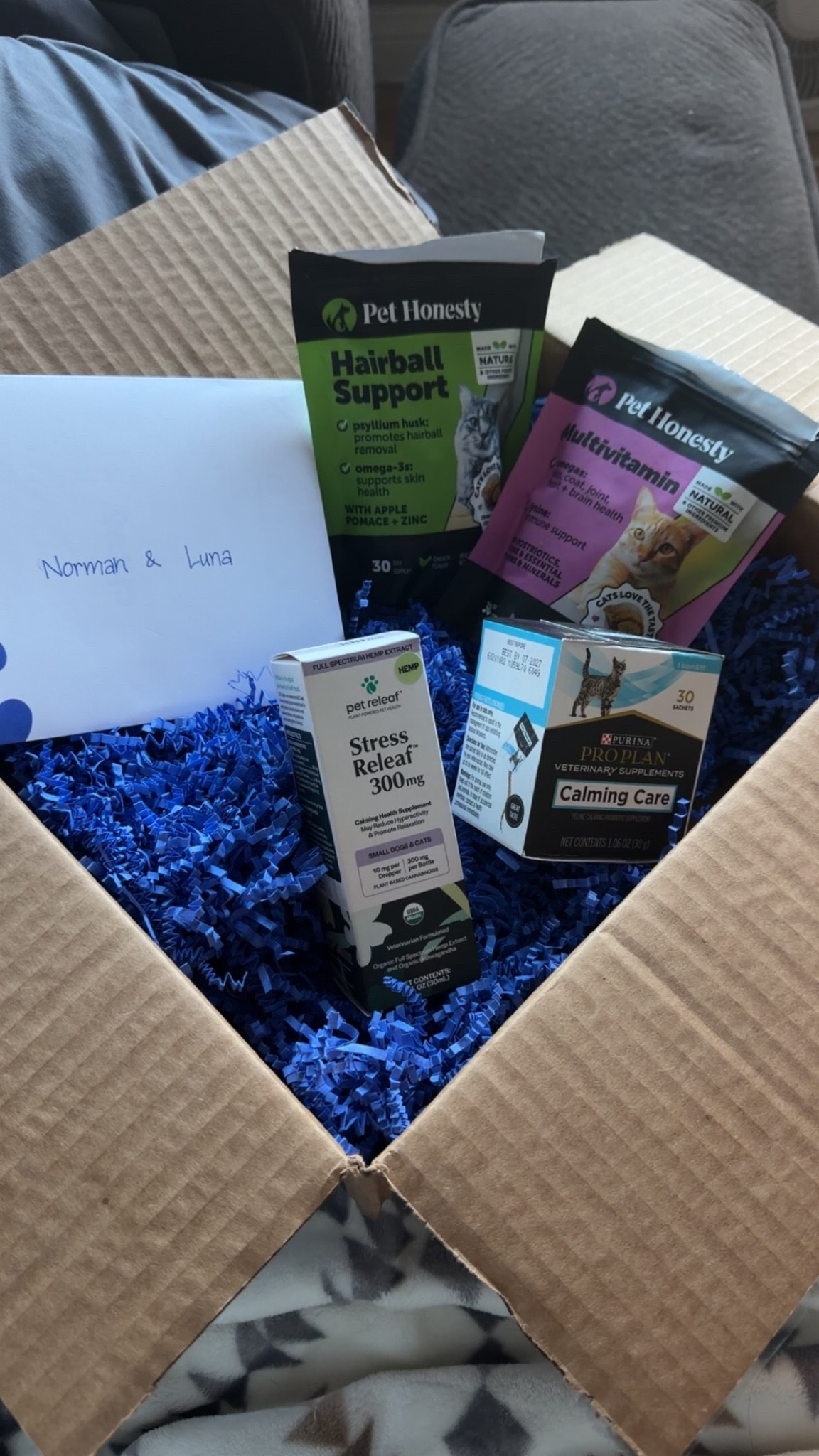 Got a gift from @Chewy for my cats

#LTKdayinmylife