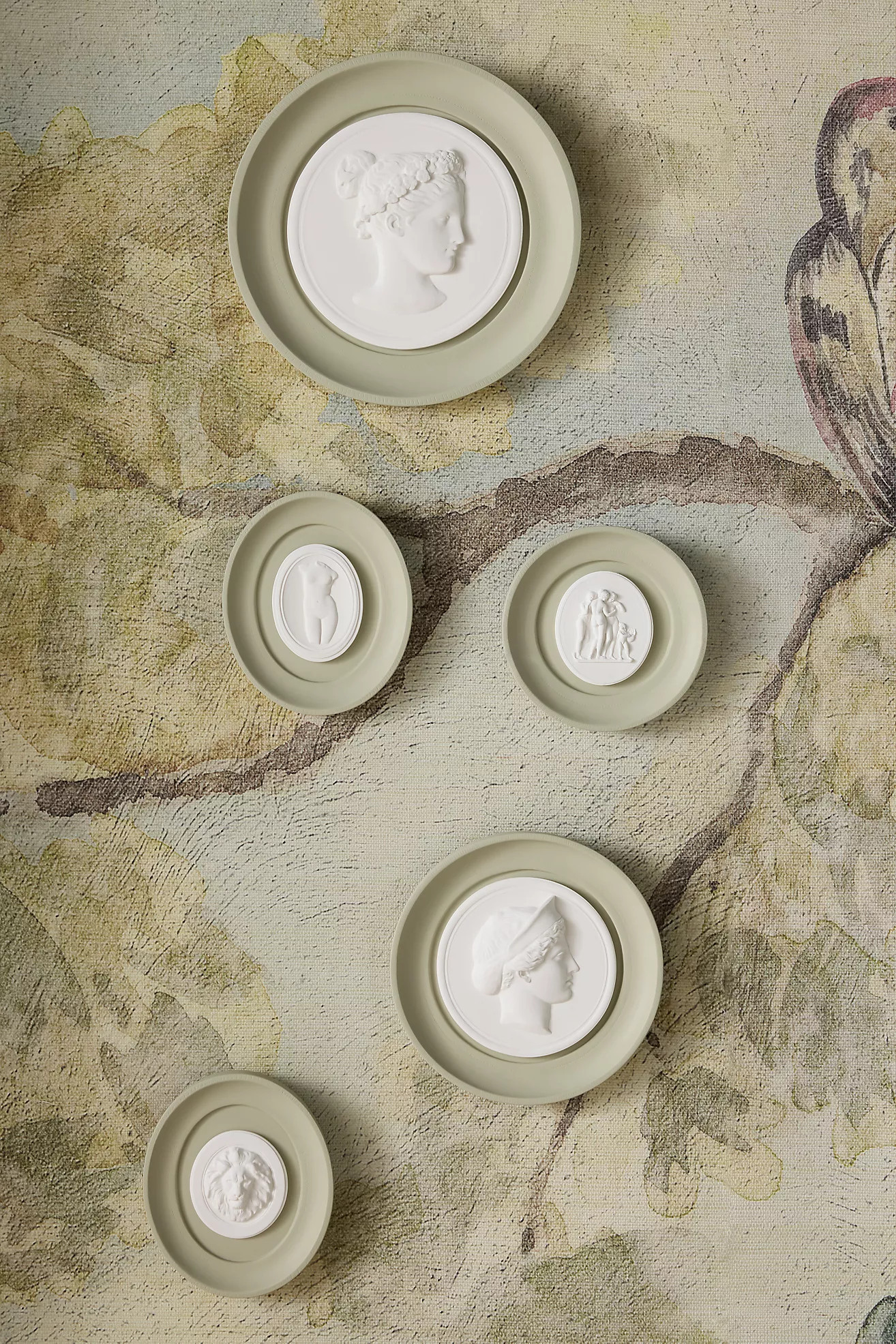 STATUETTE Sage Plaster Framed Intaglio Gallery Wall Charm | Anthropologie (US)