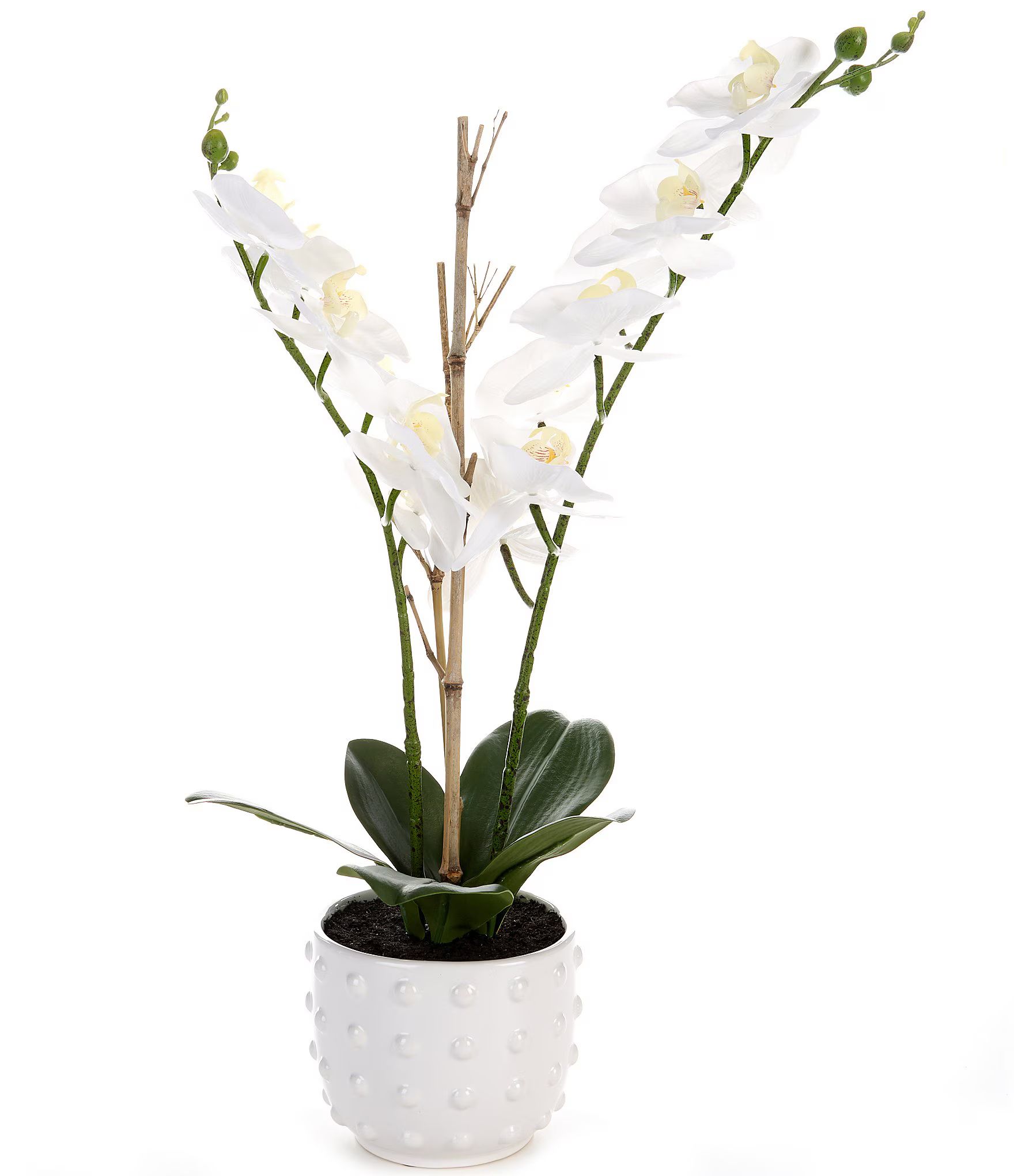 Faux Orchid Hobnail Vase | Dillard's