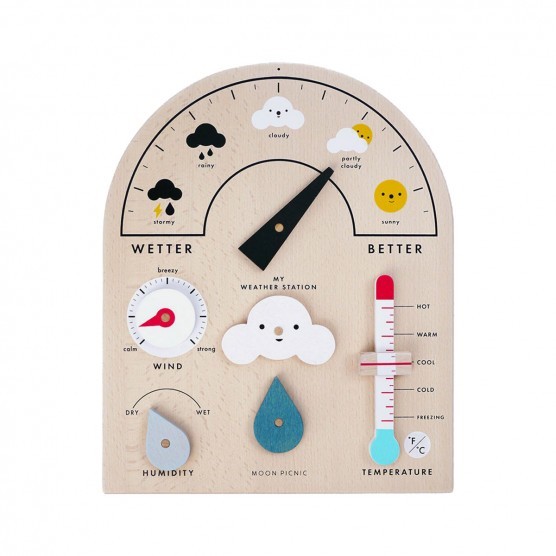 Moon Picnic My Weather Station | The Tot