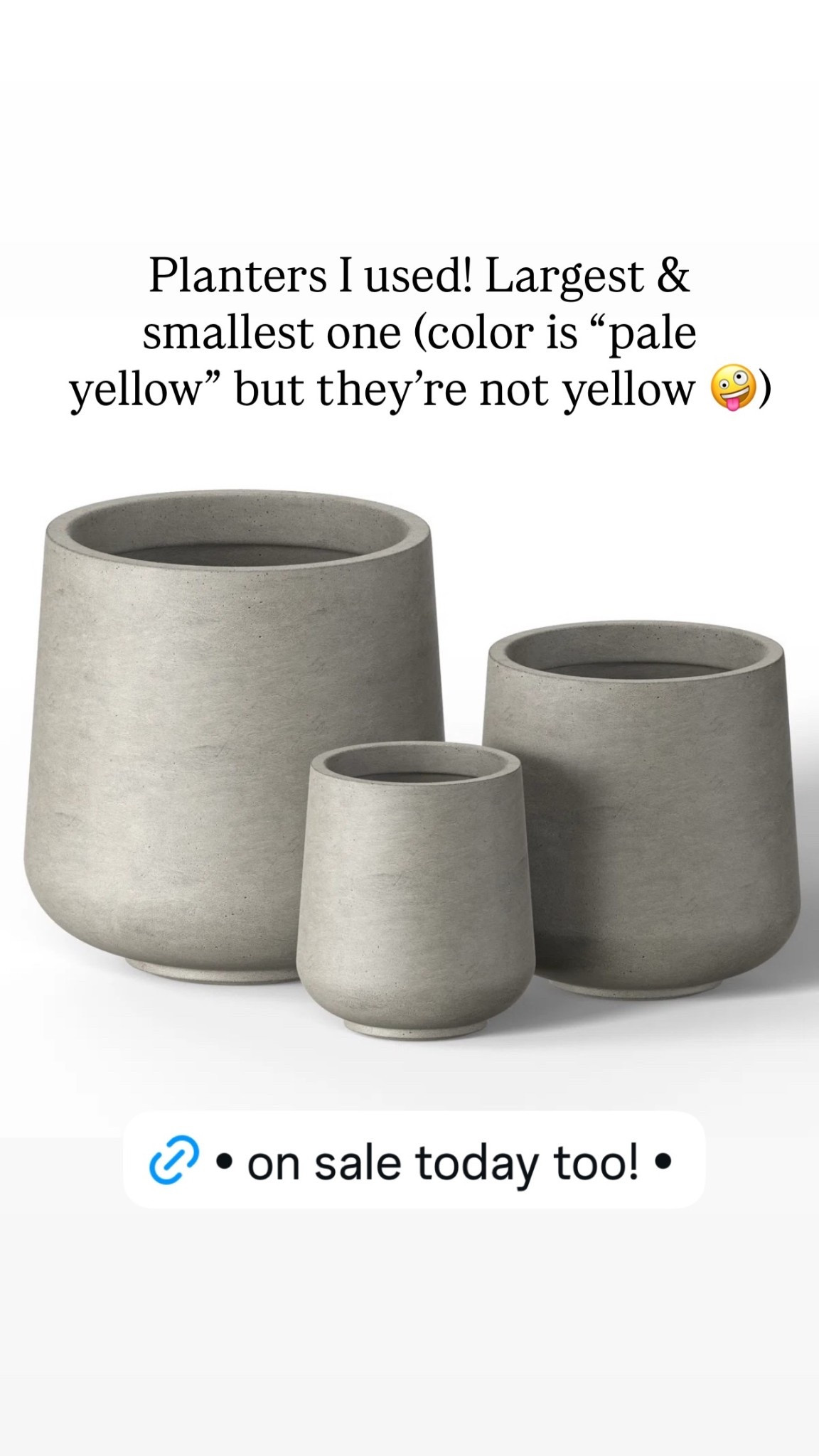Planters I used! Largest & smallest one (color is “pale yellow” but they’re not yellow 🤪)
