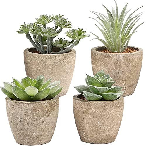 COCOBOO Artificial Succulent Plants, Mini Assorted Fake Succulents, Set of 4 Small Potted Fake Pl... | Amazon (US)