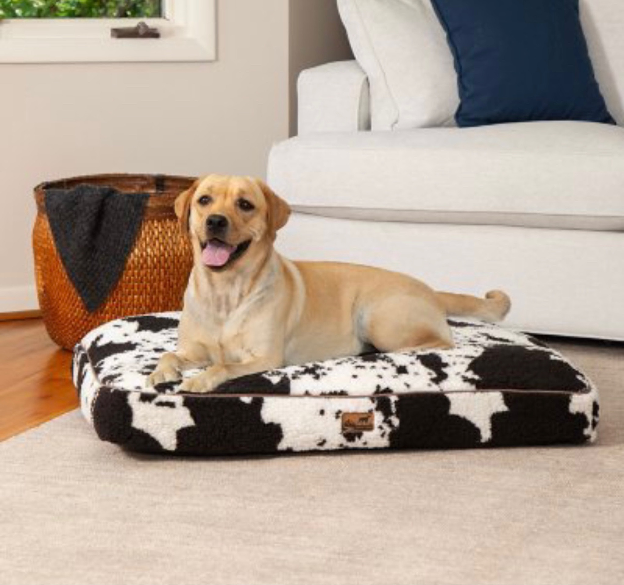 Cow Print Dog Bed 

#LTKhome #LTKGiftGuide #LTKSeasonal