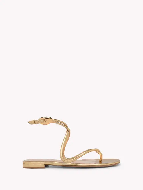 Gianvito Rossi Jungle Mamba Flat Sandals in Metallic Gold Leather at Nordstrom, Size 37.5 | Nordstrom