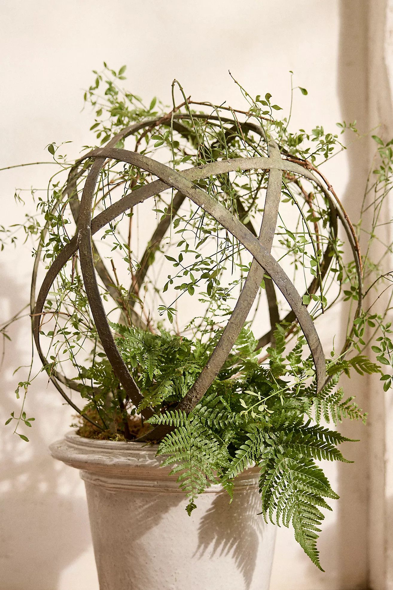 Iron Topiary Sphere | Anthropologie (US)