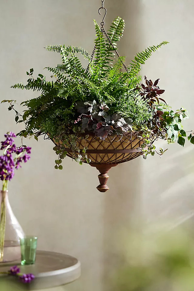 Wide Bowl Wire Hanging Planter in Beige, Size: 30" at Terrain | Terrain