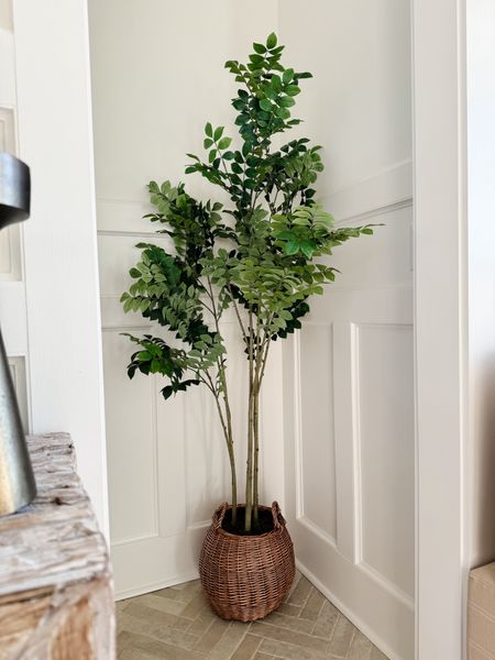 Major sale on our artificial tree! It is the perfect size to fit in a tight corner and I love the basket it's in- no need to repot!


Home decor
Target
Walmart
Mcgee & co
Pottery barn
Thislittlelifewebuilt 
Amazon home 
Living room
Area rug 

#LTKHome #LTKSaleAlert #LTKSeasonal