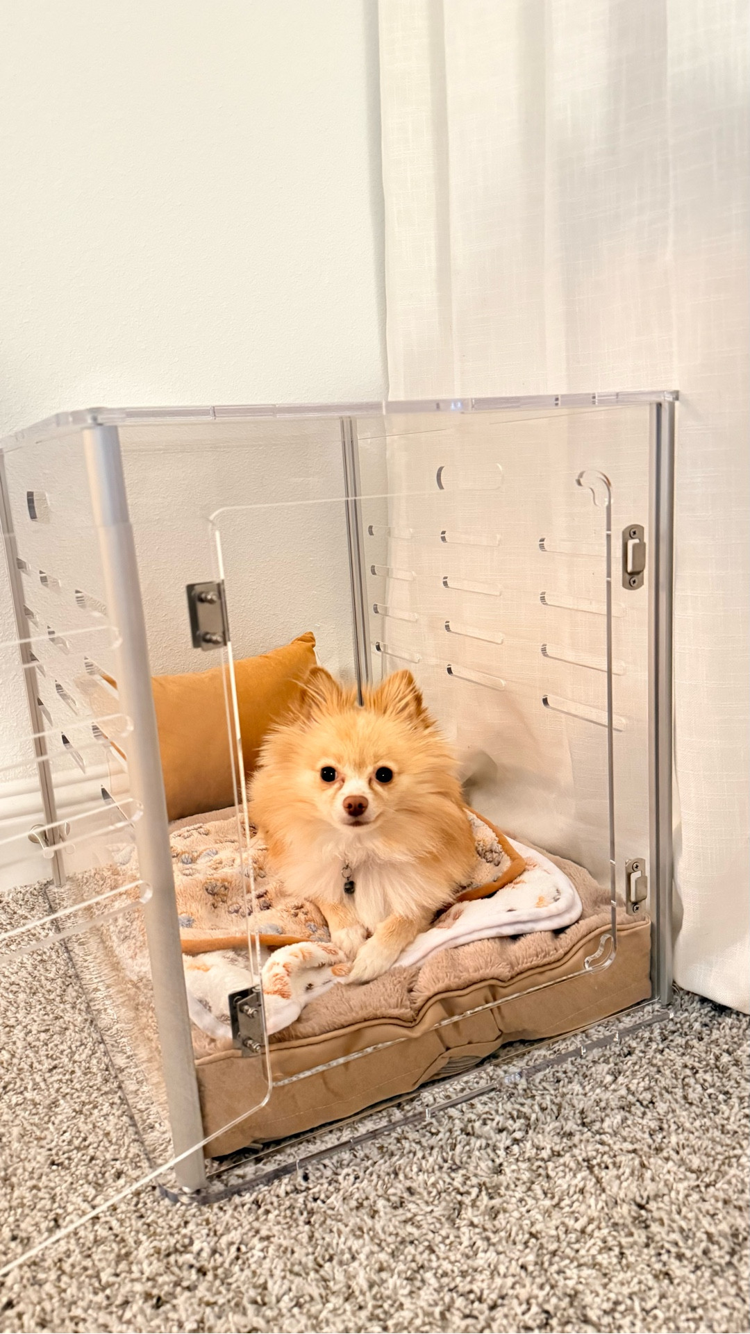 The perfect crate for all your home decor no more ugly crates ! Perfect for your fur baby! We got the smallest size in acrylic crate ! Easy to set up. 

#LTKHome #LTKstorytime #LTKmomlife