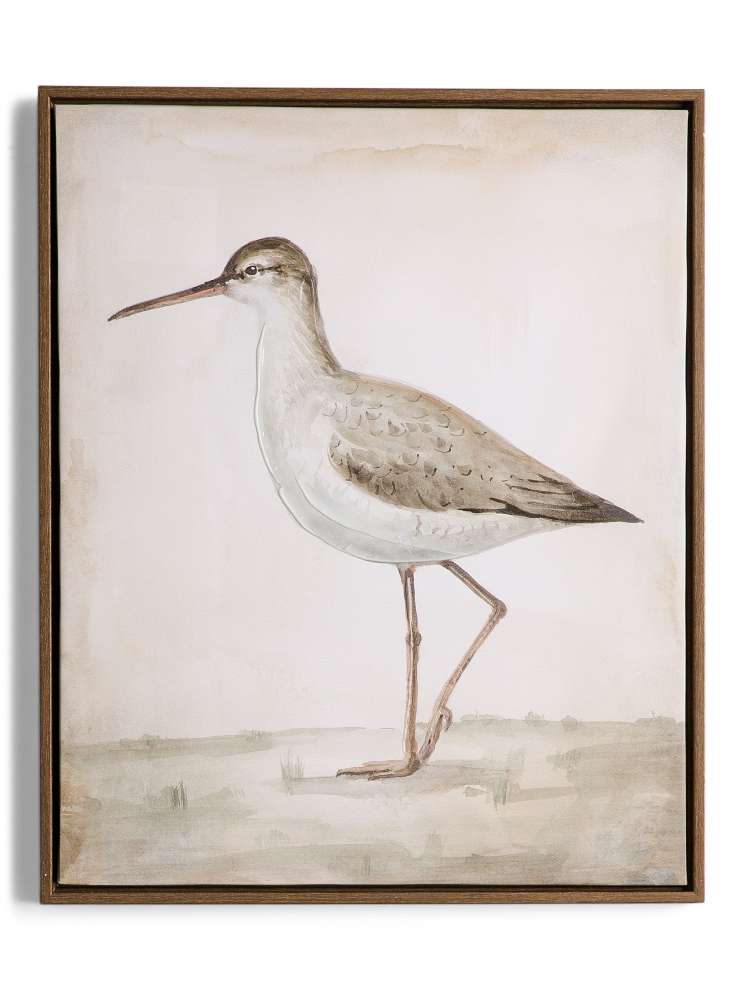 17x21 Curious Framed Wall Art | TJ Maxx