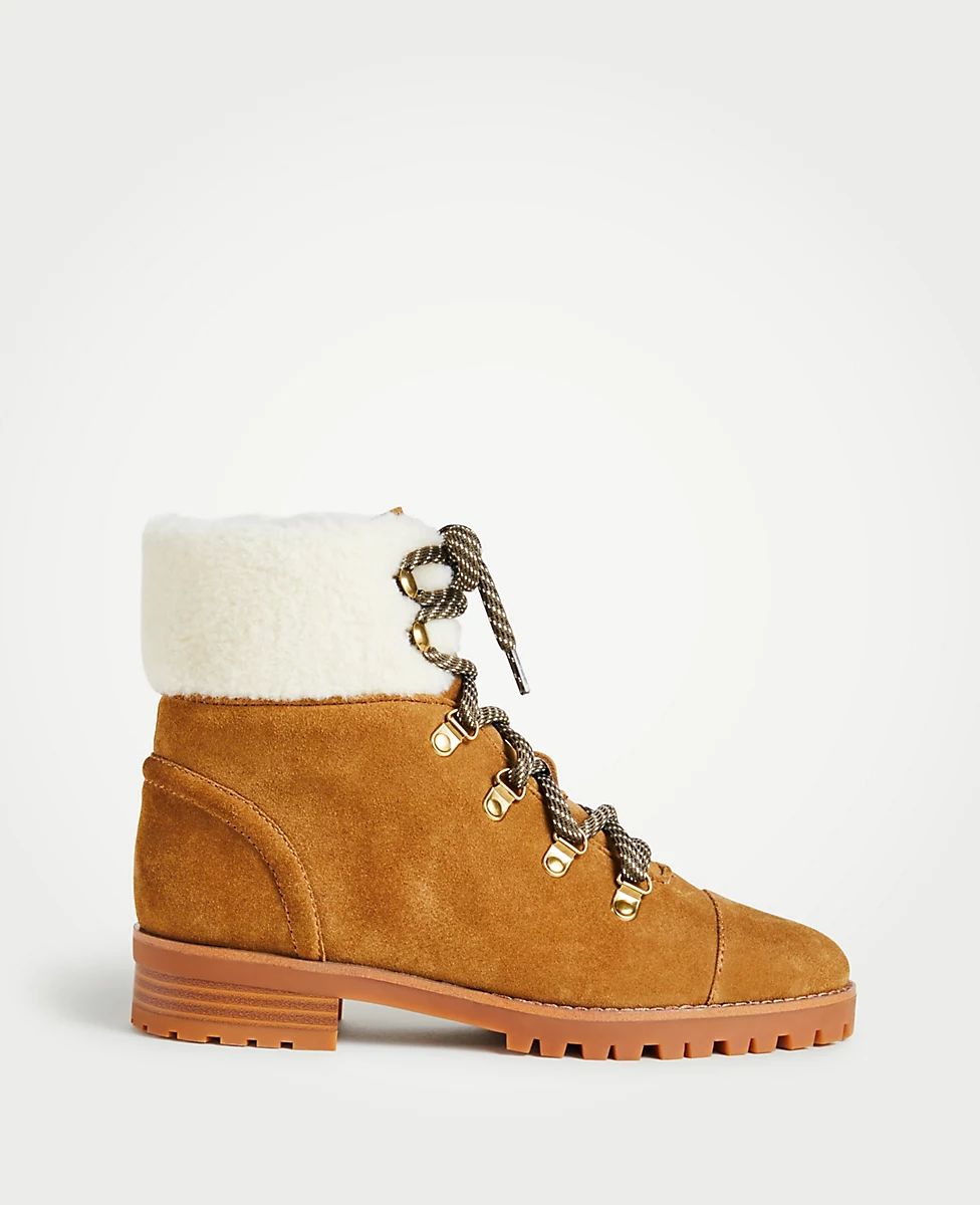 Brock Suede Hiker Boots | Ann Taylor (US)