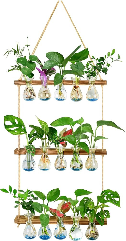 XXXFLOWER Wall Hanging Propagation Station with Wooden Stand 5 Bulb Vase 3 Tiered Planters Wall T... | Amazon (US)
