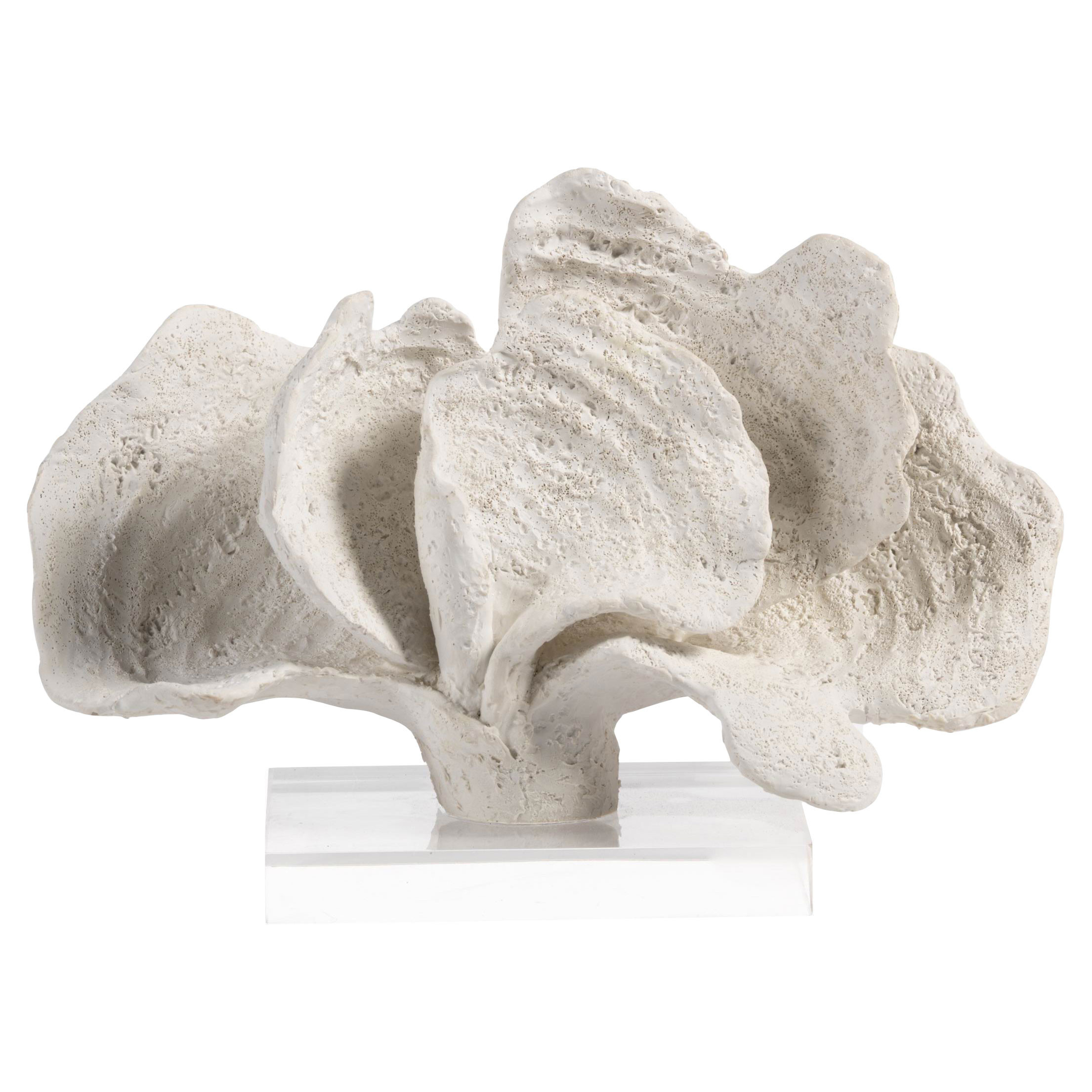 Coron Coastal Beach 7"" White Coral Sculpture with Clear Base | Kathy Kuo Home