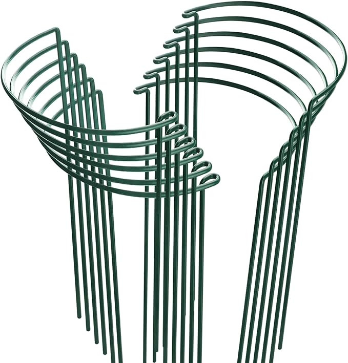 HiGift 12 Pack Plant Stakes for Indoor Plants, Metal Garden Peony Support Cages, Outdoor Plant Su... | Amazon (US)