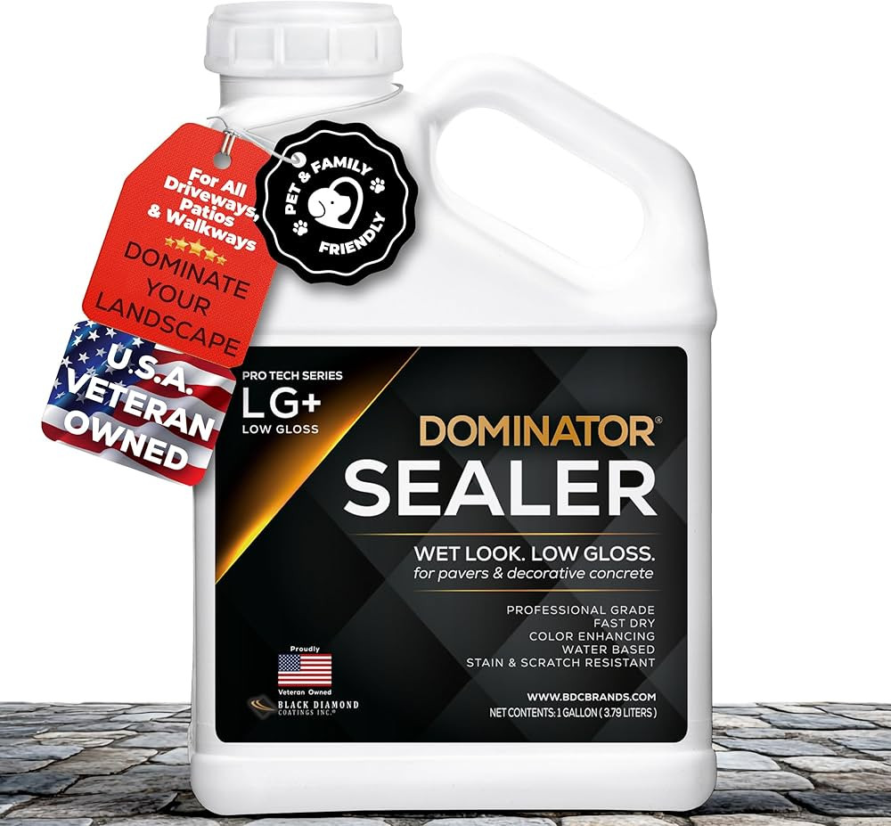 1 Gal. DOMINATOR LG+ Clear Acrylic Sealer | Low Gloss Paver Sealer | Wet Look, Color Enhancing | ... | Amazon (US)