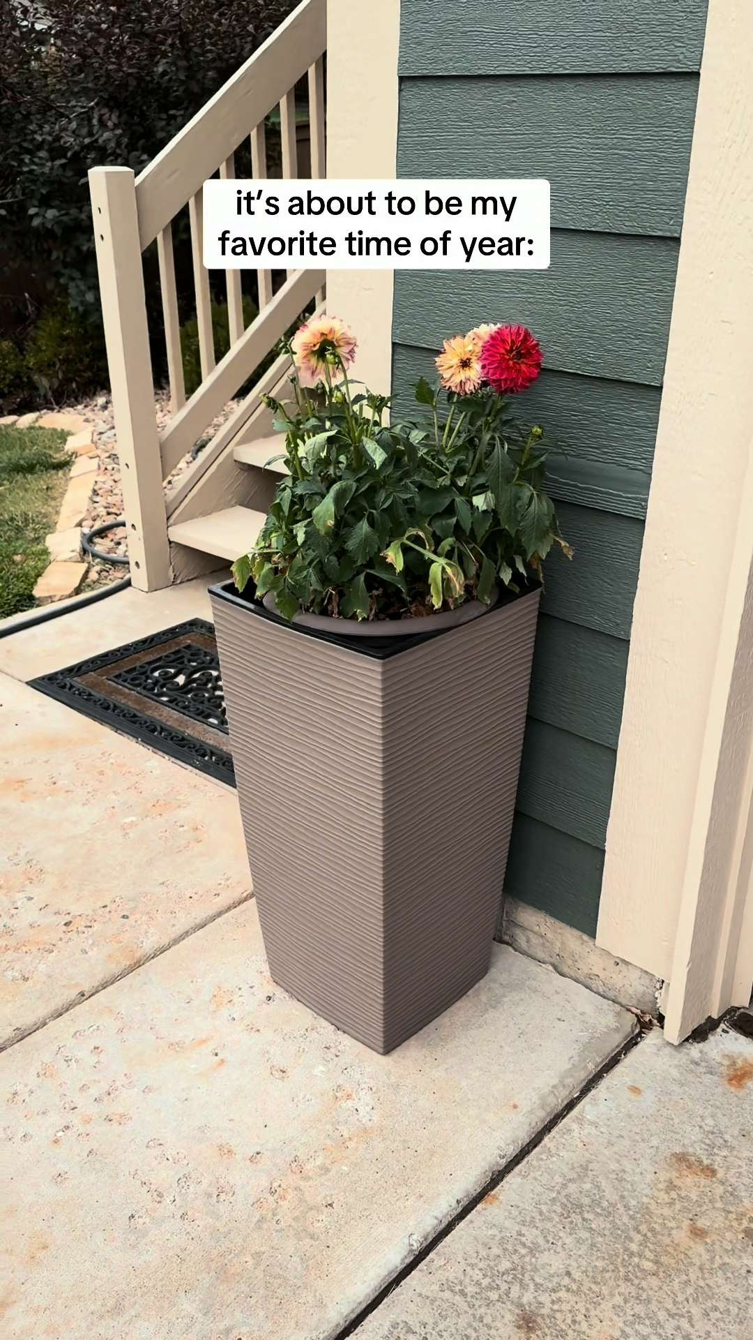 Your plants deserve a home as stylish as they are! The Mueller Tall Resin Planter is durable, chic, and perfect for giving any corner of your space a green upgrade. 

 #LTKvlog #LTKHome #LTKSaleAlert