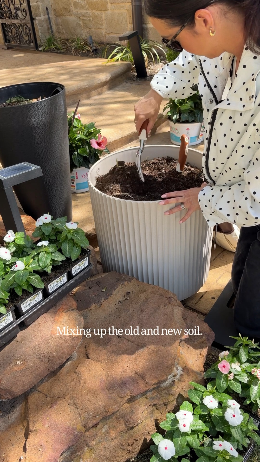 #ad It’s time for a little spring refresh in our front and back yard. I headed to my local @lowes lowes and bought all new annuals for my ground flowers and planters! I also found 3 more Little Gem Magnolias that I can only find there! Perfect time to get your gardening supplies and add spring touches to your yard. #lowespartner 


#LTKHome #LTKSeasonal #LTKOver40