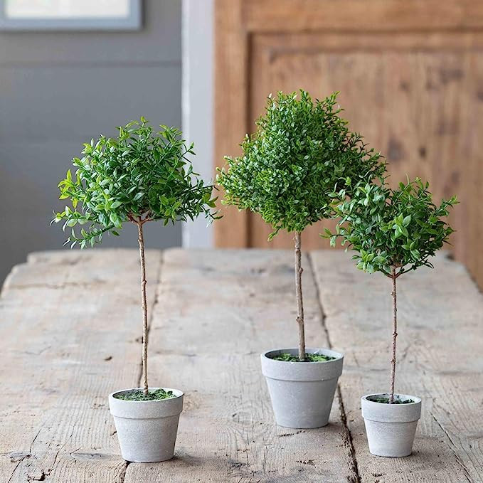 Park Hill Collection EBQ90567 Petite Boxwood Topiary, 13-inch Height | Amazon (US)