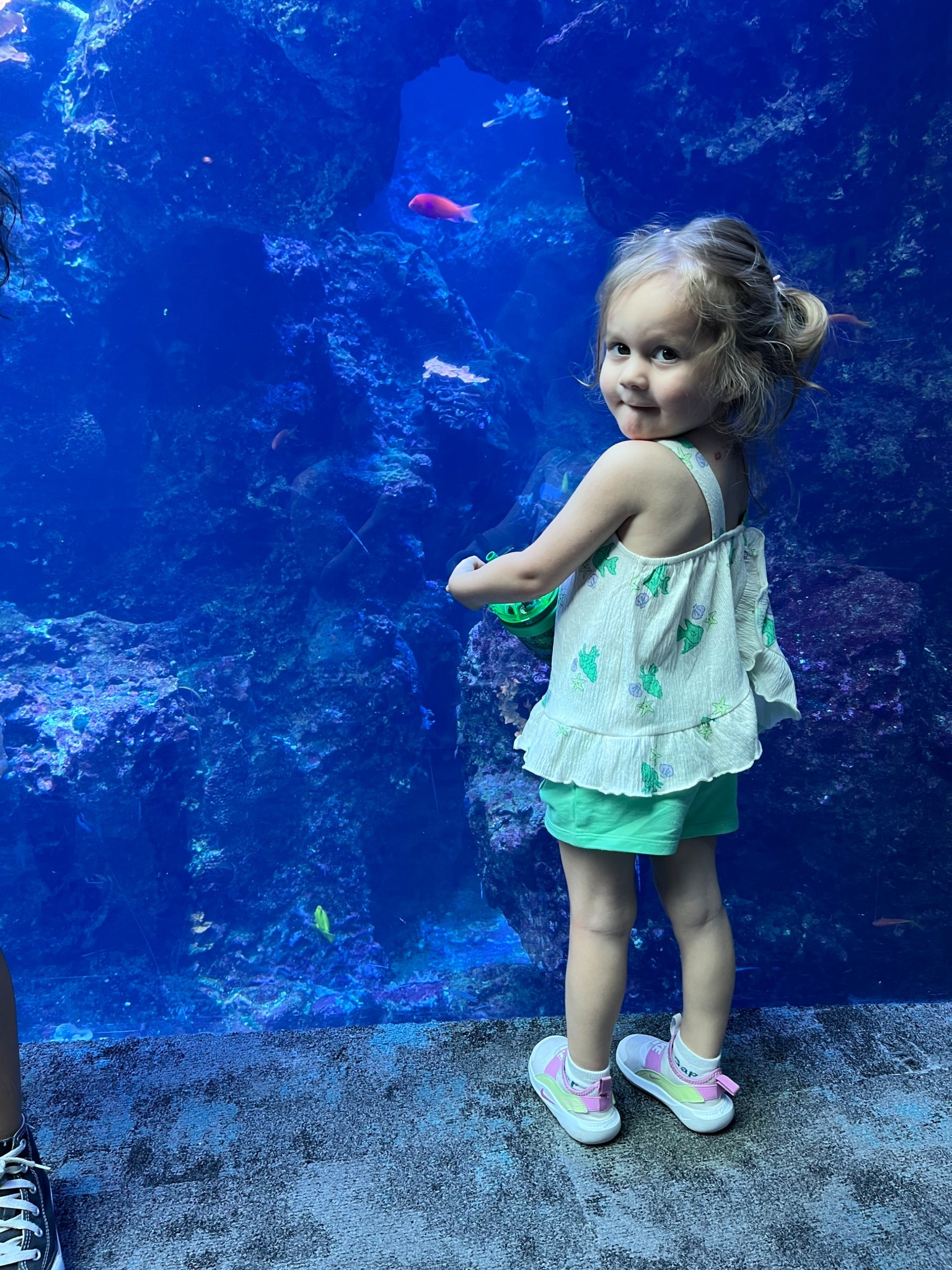 Kids outfits, toddler summer outfits, toddler attire, carters outfits, outfits for girls, aquarium outfit

#LTKKids #LTKootd #LTKmomlife