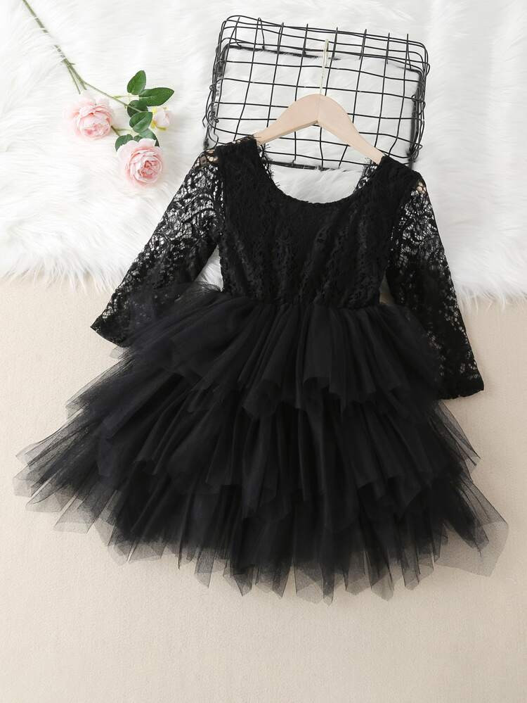 Toddler Girls Lace And Mesh V-back Layered Dress | SHEIN