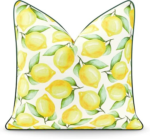 Hofdeco Premium Coastal Patio Indoor Outdoor Lumbar Pillow Cover Only, 12"x20" Water Resistant fo... | Amazon (US)