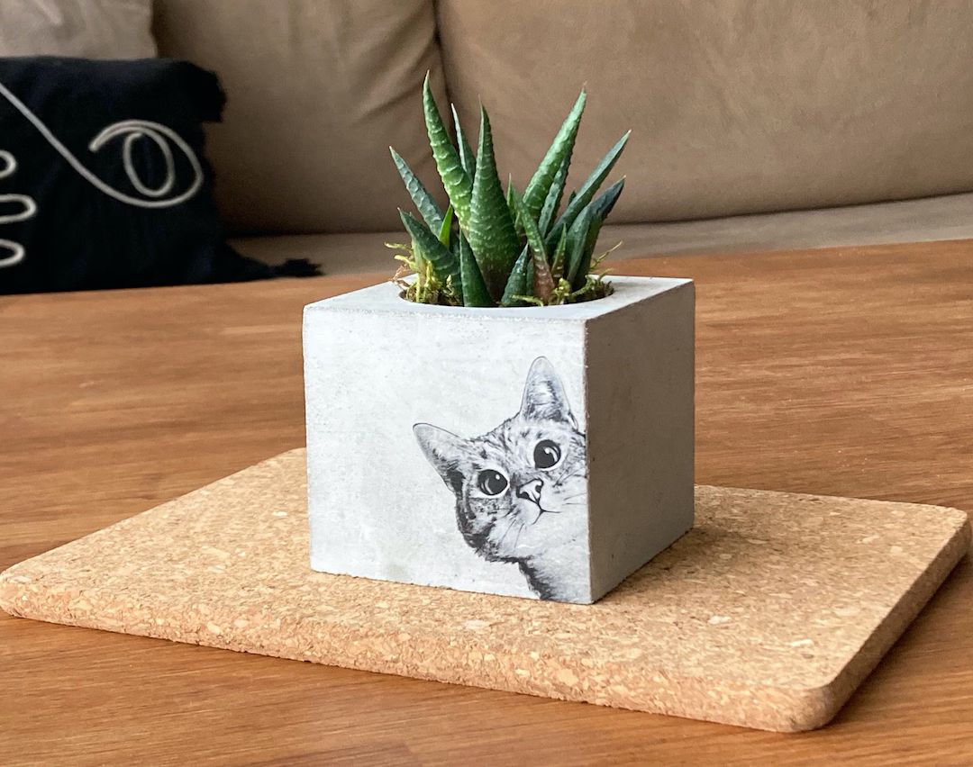 Cat Concrete Planter, Cat Lover Gift, Customizable Pot With Cat, Handmade Item, Pet Gift, Mothers... | Etsy (US)