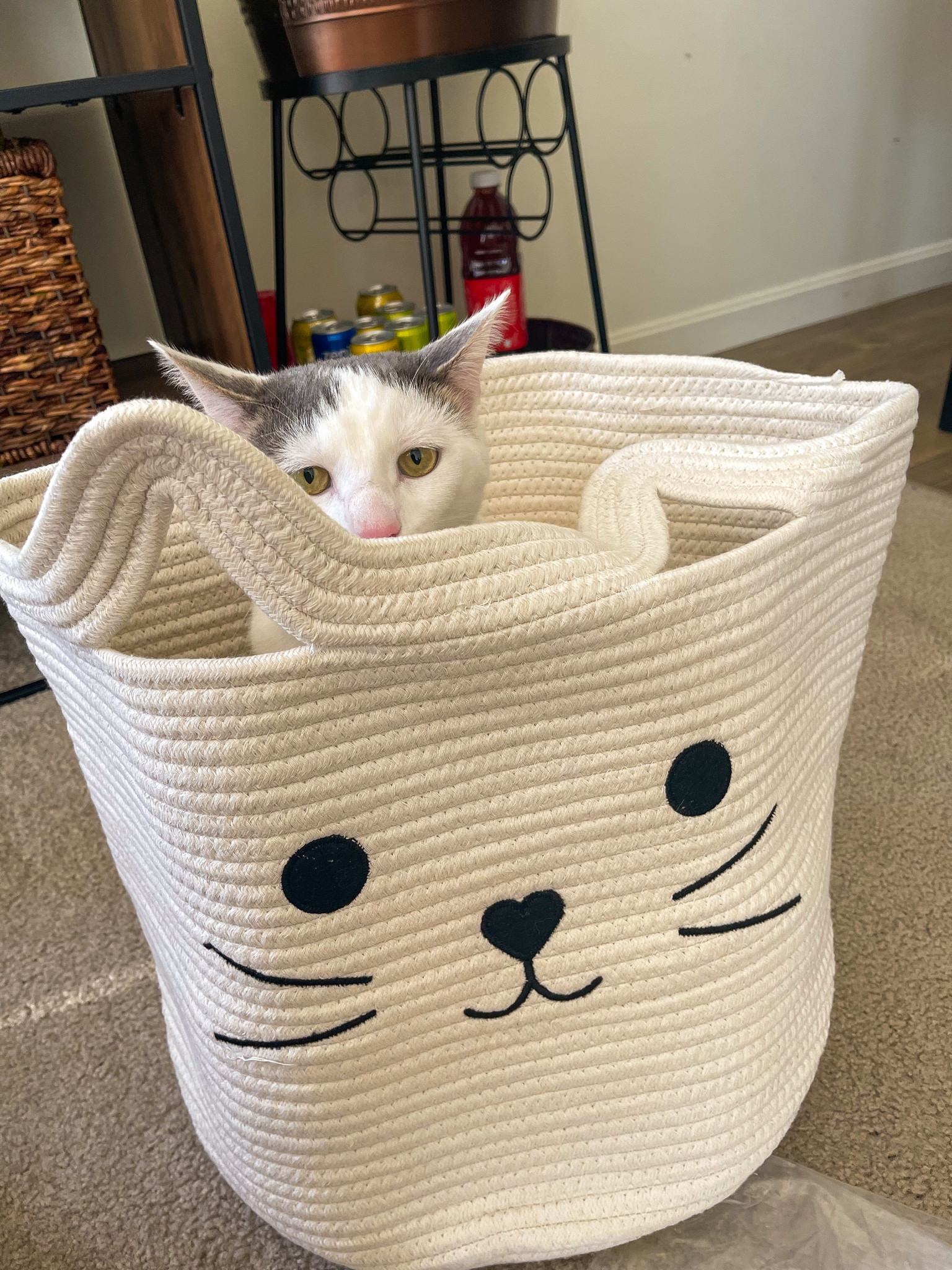 cute storage bin for cat toys from amazon 🐱linked some other cute options too!

#LTKunder50 #LTKhome