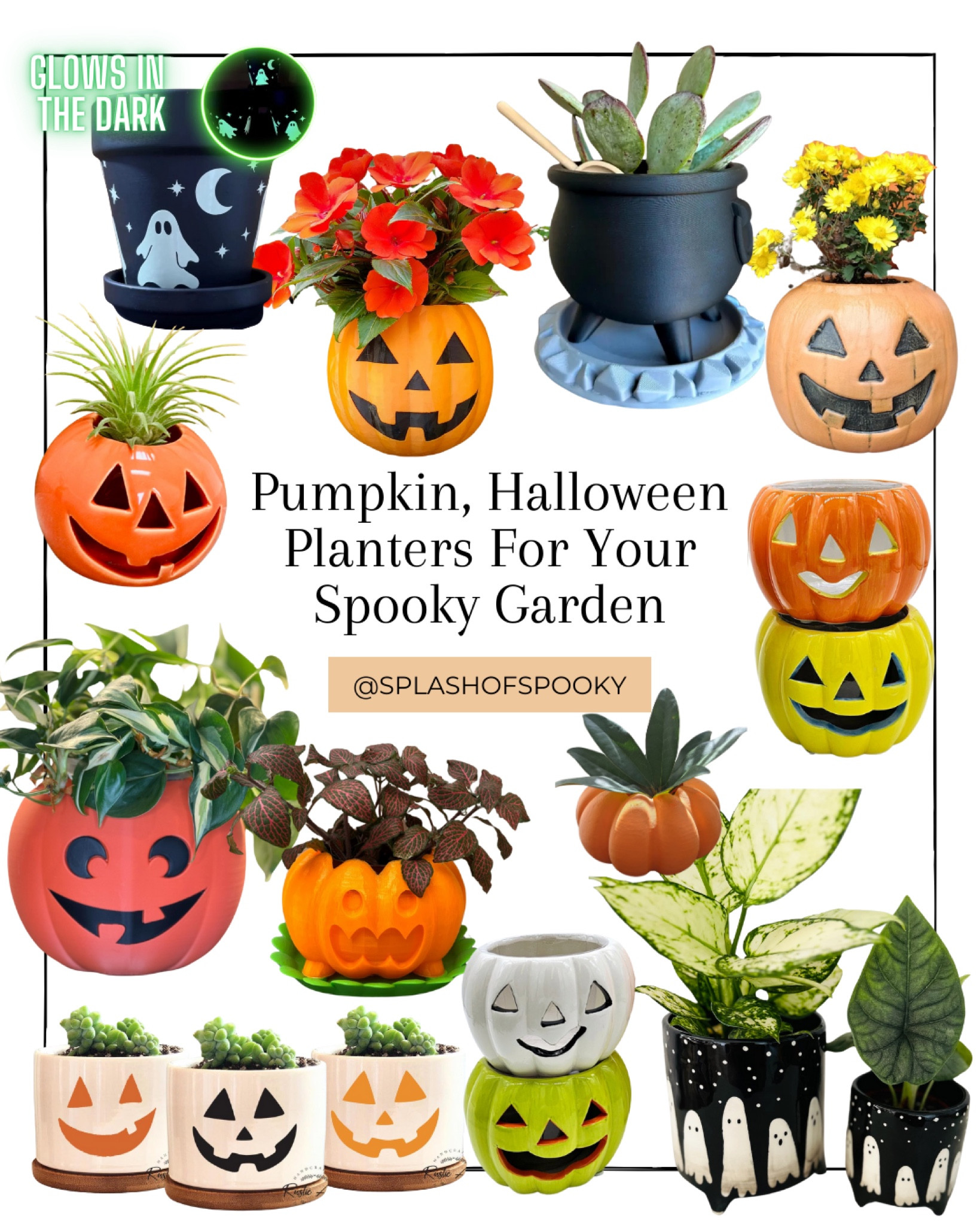 These cute and spooky Halloween planters are perfect for adding a bit of spooky flair to your garden. 

Whether you’re celebrating Springoween or just like gardening, these are a great addition to your backyard. 🪴🎃

#LTKSeasonal #LTKSpringSale #LTKHome